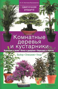 Наталия Костина-Кассанелли - Комнатные деревья и кустарники - Читать 📖 Читать онлайн 👀 Читаемые книги читать онлайн бесплатно 🔥 booksread-online.com