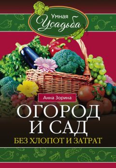 Анна Зорина - Огород и сад без хлопот и затрат - Читать 📖 Читать онлайн 👀 Читаемые книги читать онлайн бесплатно 🔥 booksread-online.com