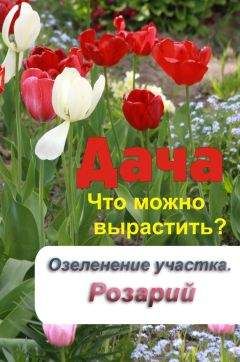 Илья Мельников - Что можно вырастить? Озеленение участка. Розарий - Читать 📖 Читать онлайн 👀 Читаемые книги читать онлайн бесплатно 🔥 booksread-online.com