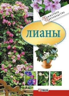 Юлия Белочкина - Лианы - Читать 📖 Читать онлайн 👀 Читаемые книги читать онлайн бесплатно 🔥 booksread-online.com
