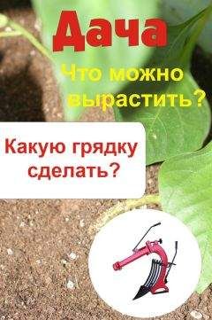 Илья Мельников - Что можно вырастить? Какую грядку сделать? - Читать 📖 Читать онлайн 👀 Читаемые книги читать онлайн бесплатно 🔥 booksread-online.com