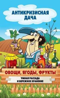 Сергей Кашин - Овощи, ягоды, фрукты. Умная рассада и бережное хранение - Читать 📖 Читать онлайн 👀 Читаемые книги читать онлайн бесплатно 🔥 booksread-online.com