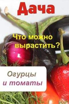 Илья Мельников - Что можно вырастить? Огурцы и томаты - Читать 📖 Читать онлайн 👀 Читаемые книги читать онлайн бесплатно 🔥 booksread-online.com
