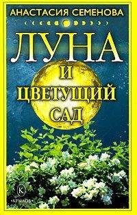 Анастасия Семенова - Луна и цветущий сад - Читать 📖 Читать онлайн 👀 Читаемые книги читать онлайн бесплатно 🔥 booksread-online.com