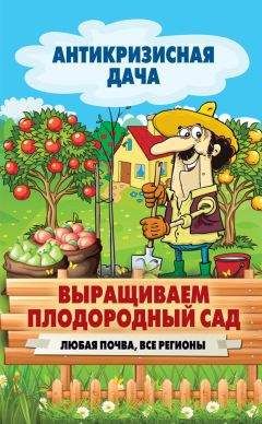 Сергей Кашин - Выращиваем плодородный сад. Любая почва, все регионы - Читать 📖 Читать онлайн 👀 Читаемые книги читать онлайн бесплатно 🔥 booksread-online.com