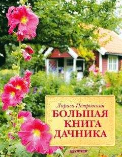 Лариса Петровская - Большая книга дачника - Читать 📖 Читать онлайн 👀 Читаемые книги читать онлайн бесплатно 🔥 booksread-online.com