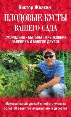 Виктор Жвакин - Плодовые кусты вашего сада - Читать 📖 Читать онлайн 👀 Читаемые книги читать онлайн бесплатно 🔥 booksread-online.com