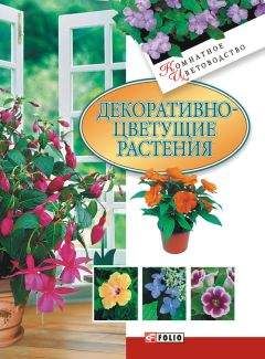 Татьяна Дорошенко - Декоративноцветущие растения - Читать 📖 Читать онлайн 👀 Читаемые книги читать онлайн бесплатно 🔥 booksread-online.com