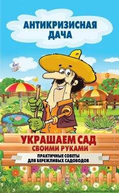 Сергей Кашин - Украшаем сад своими руками. Практичные советы для бережливых садоводов - Читать 📖 Читать онлайн 👀 Читаемые книги читать онлайн бесплатно 🔥 booksread-online.com
