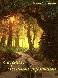 Елена Саринова - Евсения. Лесными тропками - Читать 📖 Читать онлайн 👀 Читаемые книги читать онлайн бесплатно 🔥 booksread-online.com