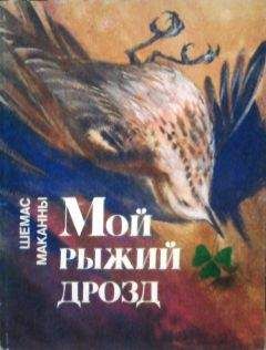Шемас Маканны - Мои рыжий дрозд - Читать 📖 Читать онлайн 👀 Читаемые книги читать онлайн бесплатно 🔥 booksread-online.com