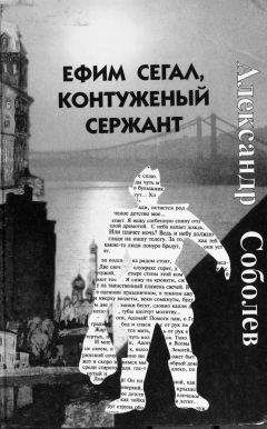 Александр Соболев - Ефим Сегал, контуженый сержант - Читать | Читать онлайн | Читаемые книги читать онлайн бесплатно | booksread-online.com