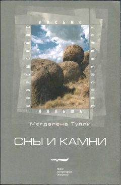 Магдалена Тулли - Сны и камни - Читать 📖 Читать онлайн 👀 Читаемые книги читать онлайн бесплатно 🔥 booksread-online.com