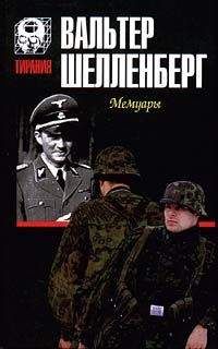 Вальтер Шелленберг - Мемуары [Лабиринт] - Читать | Читать онлайн | Читаемые книги читать онлайн бесплатно | booksread-online.com