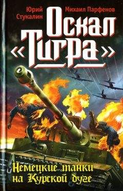 Юрий Стукалин - Оскал «Тигра». Немецкие танки на Курской дуге - Читать 📖 Читать онлайн 👀 Читаемые книги читать онлайн бесплатно 🔥 booksread-online.com