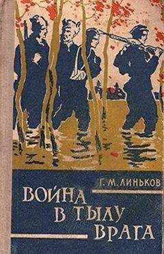 Григорий Линьков - Война в тылу врага - Читать | Читать онлайн | Читаемые книги читать онлайн бесплатно | booksread-online.com