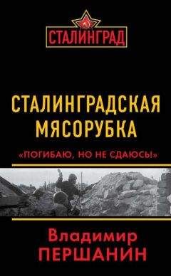 Владимир Першанин - Сталинградская мясорубка. «Погибаю, но не сдаюсь!» - Читать | Читать онлайн | Читаемые книги читать онлайн бесплатно | booksread-online.com