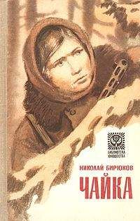 Николай Бирюков - Чайка - Читать | Читать онлайн | Читаемые книги читать онлайн бесплатно | booksread-online.com