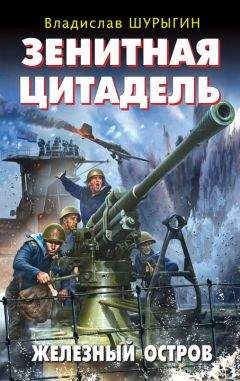 Владислав Шурыгин - Зенитная цитадель. «Не тронь меня!» - Читать 📖 Читать онлайн 👀 Читаемые книги читать онлайн бесплатно 🔥 booksread-online.com