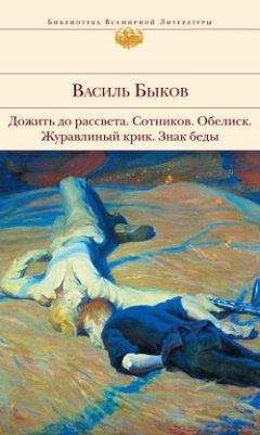 Василий Быков - Дожить до рассвета; Сотников; Обелиск; Журавлиный крик; Знак беды (сборник) - Читать | Читать онлайн | Читаемые книги читать онлайн бесплатно | booksread-online.com