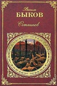 Василий Быков - Стужа - Читать 📖 Читать онлайн 👀 Читаемые книги читать онлайн бесплатно 🔥 booksread-online.com