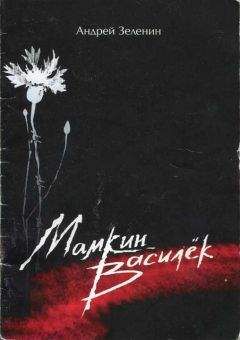 Андрей Зеленин - Мамкин Василёк - Читать 📖 Читать онлайн 👀 Читаемые книги читать онлайн бесплатно 🔥 booksread-online.com
