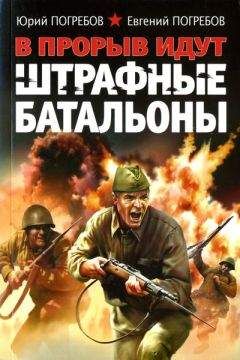 Юрий Погребов - В прорыв идут штрафные батальоны - Читать | Читать онлайн | Читаемые книги читать онлайн бесплатно | booksread-online.com