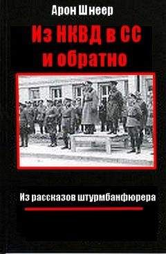 Арон Шнеер. - Из НКВД в СС и обратно. (Из рассказов штурмбаннфюрера) - Читать 📖 Читать онлайн 👀 Читаемые книги читать онлайн бесплатно 🔥 booksread-online.com