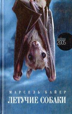 Марсель Байер - Летучие собаки - Читать | Читать онлайн | Читаемые книги читать онлайн бесплатно | booksread-online.com