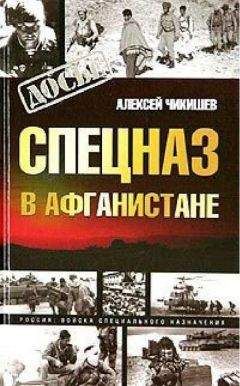 Алексей Чикишев - Спецназ в Афганистане - Читать 📖 Читать онлайн 👀 Читаемые книги читать онлайн бесплатно 🔥 booksread-online.com