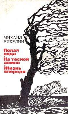 Михаил Никулин - Полая вода. На тесной земле. Жизнь впереди - Читать | Читать онлайн | Читаемые книги читать онлайн бесплатно | booksread-online.com