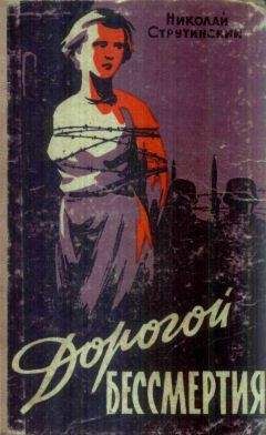 Николай Струтинский - Дорогой бессмертия - Читать | Читать онлайн | Читаемые книги читать онлайн бесплатно | booksread-online.com