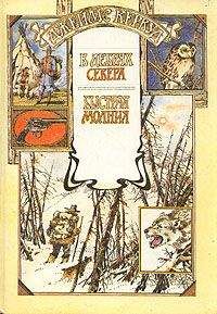 Джеймс Кервуд - В дебрях Севера - Читать 📖 Читать онлайн 👀 Читаемые книги читать онлайн бесплатно 🔥 booksread-online.com