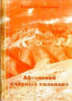 Валерий Ларионов - Афганский «черный тюльпан» - Читать 📖 Читать онлайн 👀 Читаемые книги читать онлайн бесплатно 🔥 booksread-online.com