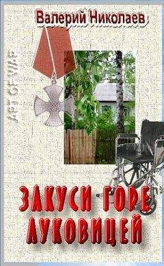 Валерий Николаев - Закуси горе луковицей - Читать 📖 Читать онлайн 👀 Читаемые книги читать онлайн бесплатно 🔥 booksread-online.com