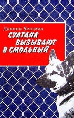 Данцик Балдаев - Султана вызывают в Смольный - Читать 📖 Читать онлайн 👀 Читаемые книги читать онлайн бесплатно 🔥 booksread-online.com