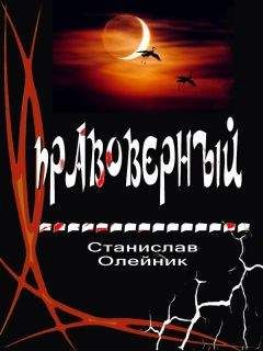 Станислав Олейник - Правоверный - Читать 📖 Читать онлайн 👀 Читаемые книги читать онлайн бесплатно 🔥 booksread-online.com