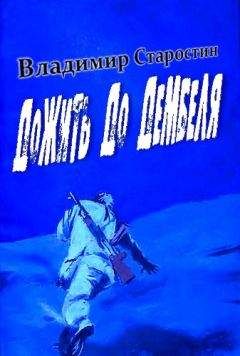 Владимир Старостин - Дожить до дембеля - Читать 📖 Читать онлайн 👀 Читаемые книги читать онлайн бесплатно 🔥 booksread-online.com