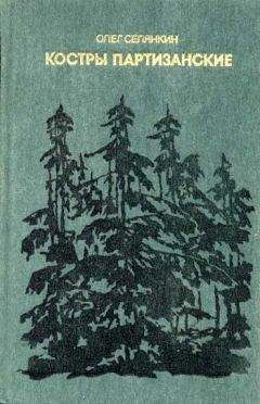 Олег Селянкин - Костры партизанские. Книга 1 - Читать 📖 Читать онлайн 👀 Читаемые книги читать онлайн бесплатно 🔥 booksread-online.com