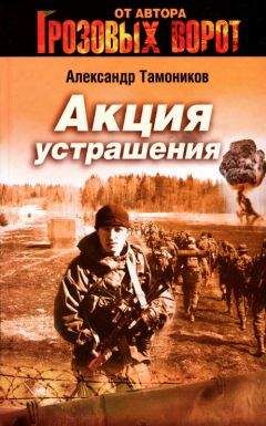 Александр Тамоников - Акция устрашения - Читать 📖 Читать онлайн 👀 Читаемые книги читать онлайн бесплатно 🔥 booksread-online.com