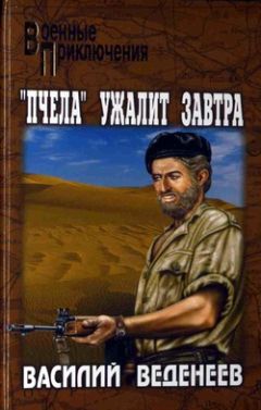 Василий Веденеев - Ключ святого Петра - Читать 📖 Читать онлайн 👀 Читаемые книги читать онлайн бесплатно 🔥 booksread-online.com