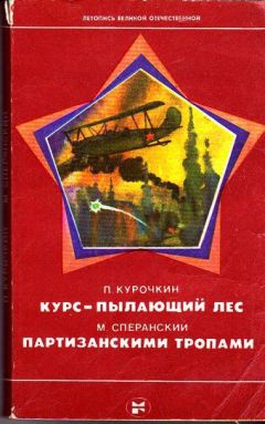 П. Курочкин - Курс — пылающий лес. Партизанскими тропами - Читать | Читать онлайн | Читаемые книги читать онлайн бесплатно | booksread-online.com