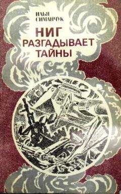 Илья Симанчук - НИГ разгадывает тайны. Хроника ежедневного риска - Читать 📖 Читать онлайн 👀 Читаемые книги читать онлайн бесплатно 🔥 booksread-online.com