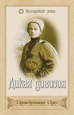 Николай Брешко-Брешковский - Дикая дивизия. Дроздовцы в огне - Читать 📖 Читать онлайн 👀 Читаемые книги читать онлайн бесплатно 🔥 booksread-online.com