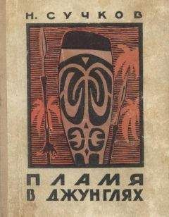 Николай Сучков - Пламя в джунглях - Читать 📖 Читать онлайн 👀 Читаемые книги читать онлайн бесплатно 🔥 booksread-online.com