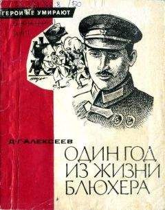 Давид Алексеев - Один год из жизни Блюхера - Читать | Читать онлайн | Читаемые книги читать онлайн бесплатно | booksread-online.com