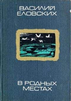 Василий Еловских - В родных местах - Читать 📖 Читать онлайн 👀 Читаемые книги читать онлайн бесплатно 🔥 booksread-online.com