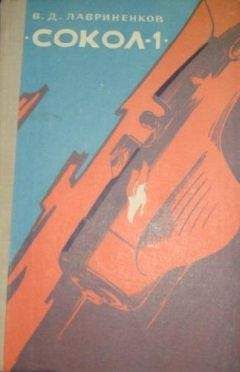 Владимир Лавриненков - «Сокол-1» - Читать | Читать онлайн | Читаемые книги читать онлайн бесплатно | booksread-online.com