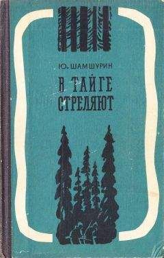 Юрий Шамшурин - В тайге стреляют - Читать 📖 Читать онлайн 👀 Читаемые книги читать онлайн бесплатно 🔥 booksread-online.com