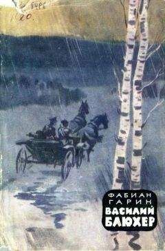 Фабиан Гарин - Василий Блюхер. Книга 1 - Читать 📖 Читать онлайн 👀 Читаемые книги читать онлайн бесплатно 🔥 booksread-online.com